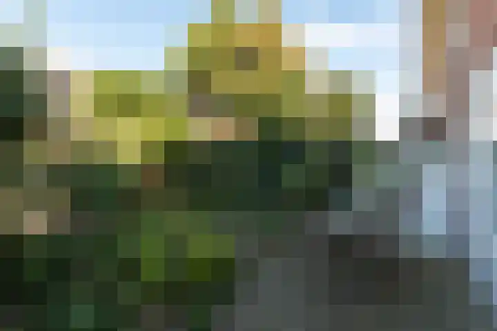 Dr. P.J.H. Cuypersplein 25 Hilversum thumbnail 29