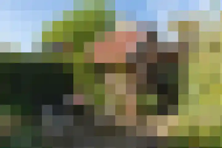 Dr. P.J.H. Cuypersplein 25 Hilversum thumbnail 30