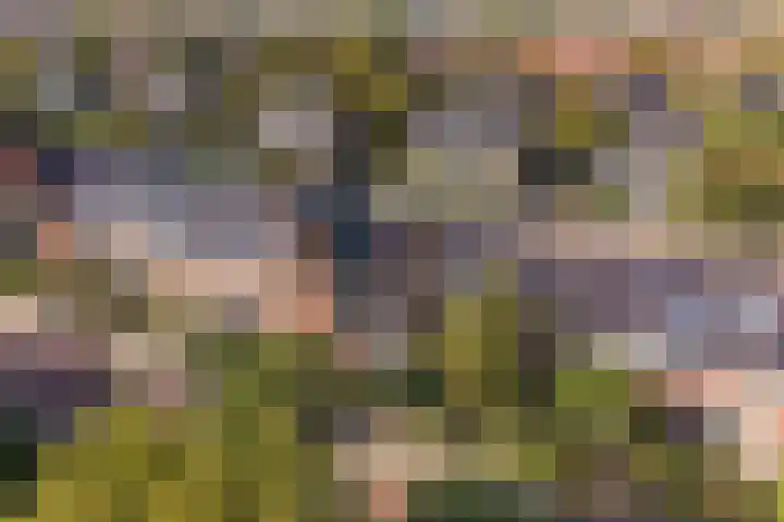 Dr. P.J.H. Cuypersplein 25 Hilversum thumbnail 31