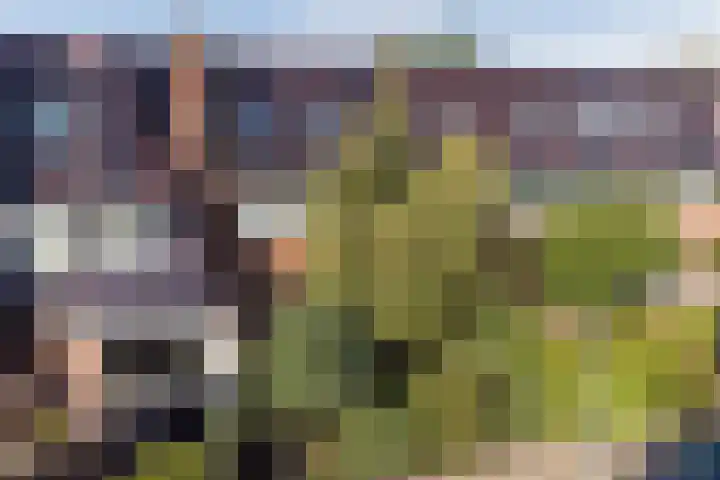 Dr. P.J.H. Cuypersplein 25 Hilversum thumbnail 32