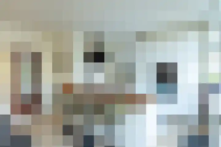 Dr. P.J.H. Cuypersplein 25 Hilversum thumbnail 5