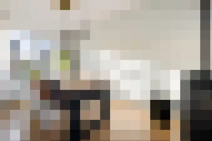 Dr.P.J.Hoedemakerstrjitte 22 Nijland thumbnail 11