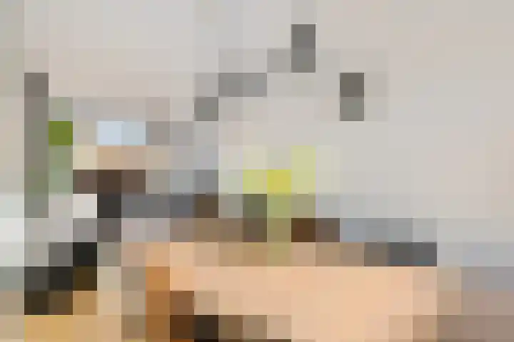 Dr.P.J.Hoedemakerstrjitte 22 Nijland thumbnail 12