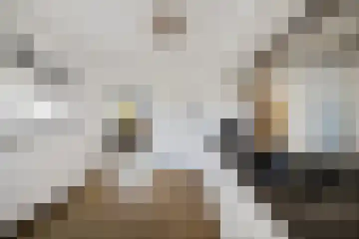 Dr.P.J.Hoedemakerstrjitte 22 Nijland thumbnail 13