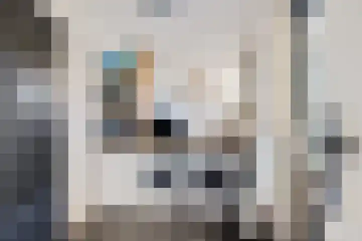 Dr.P.J.Hoedemakerstrjitte 22 Nijland thumbnail 14