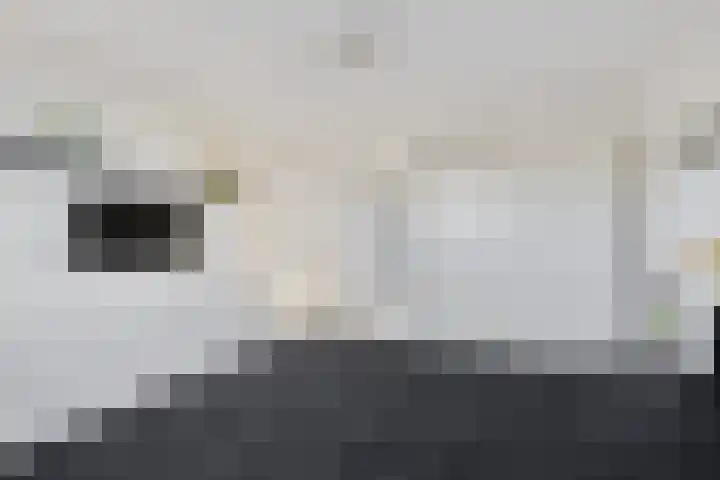 Dr.P.J.Hoedemakerstrjitte 22 Nijland thumbnail 16