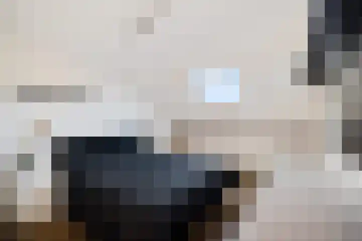 Dr.P.J.Hoedemakerstrjitte 22 Nijland thumbnail 17