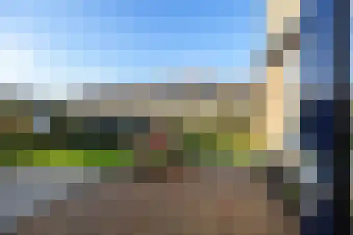 Dr.P.J.Hoedemakerstrjitte 22 Nijland thumbnail 25