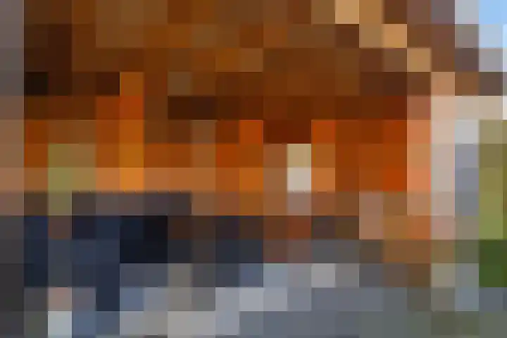 Dr.P.J.Hoedemakerstrjitte 22 Nijland thumbnail 26