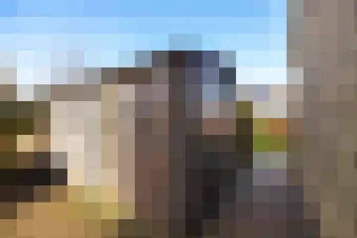 Dr.P.J.Hoedemakerstrjitte 22 Nijland thumbnail 30