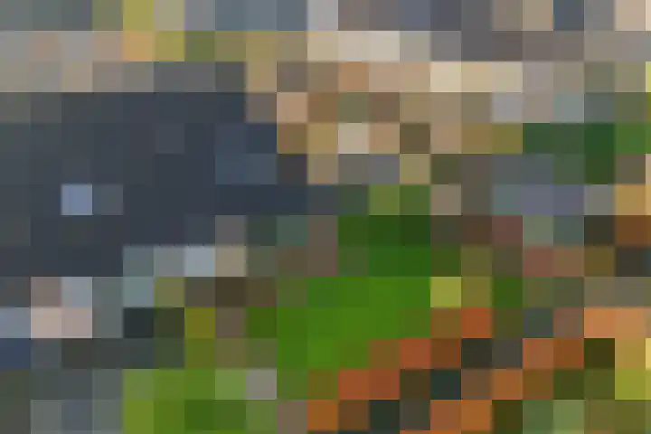 Dr.P.J.Hoedemakerstrjitte 22 Nijland thumbnail 31