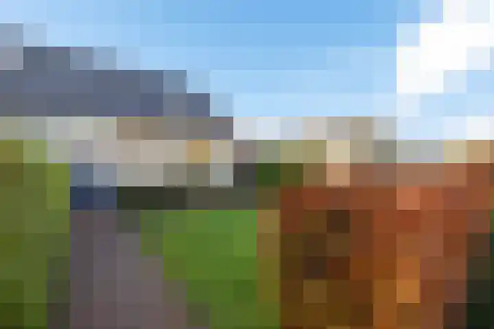 Dr.P.J.Hoedemakerstrjitte 22 Nijland thumbnail 36