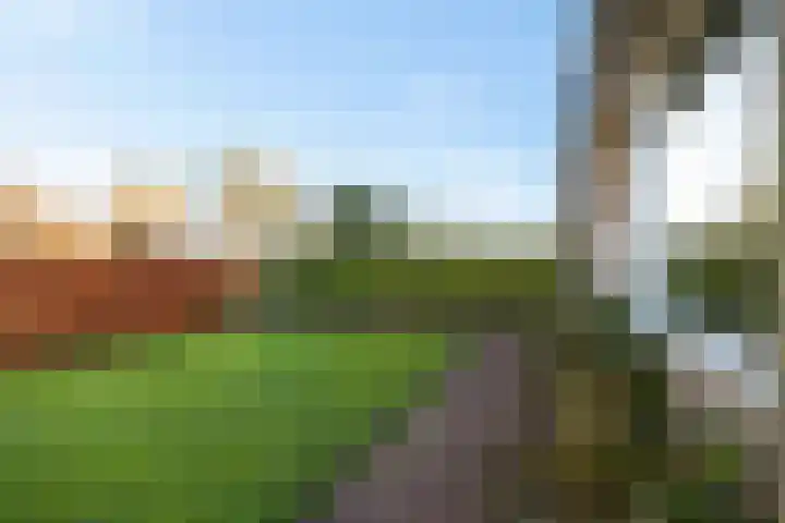 Dr.P.J.Hoedemakerstrjitte 22 Nijland thumbnail 37