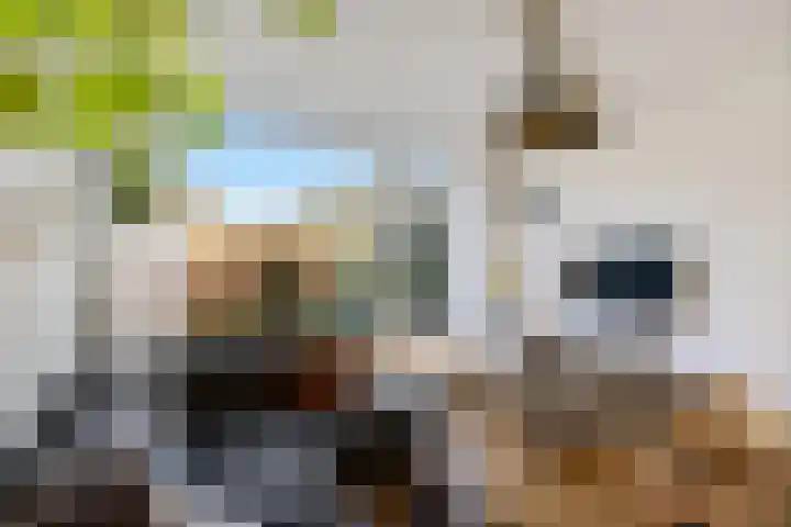 Dr.P.J.Hoedemakerstrjitte 22 Nijland thumbnail 8
