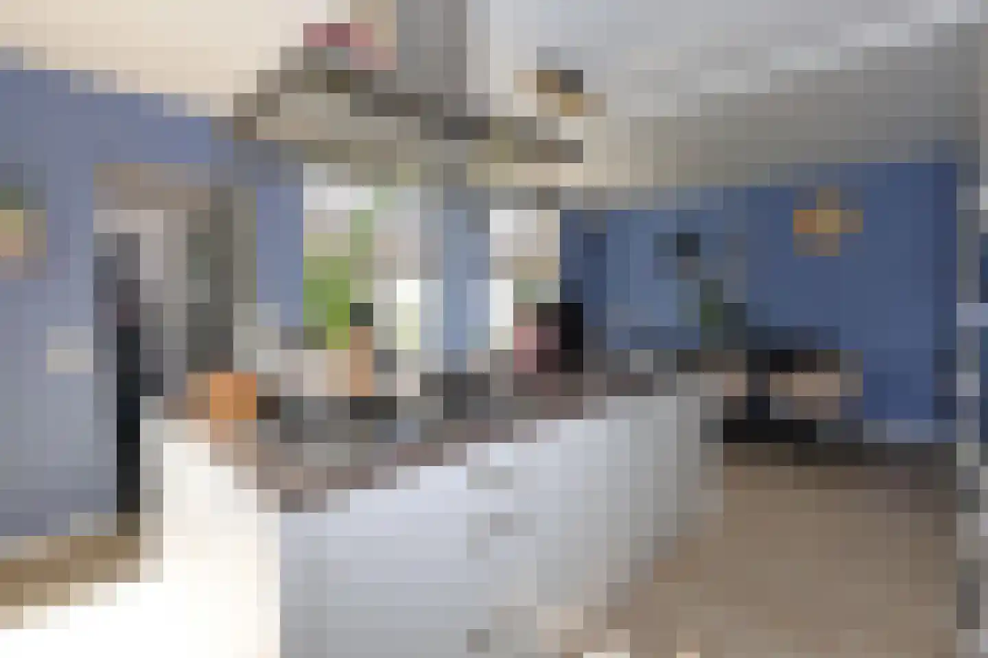 Dr.P.J.Hoedemakerstrjitte 28 Nijland thumbnail 14