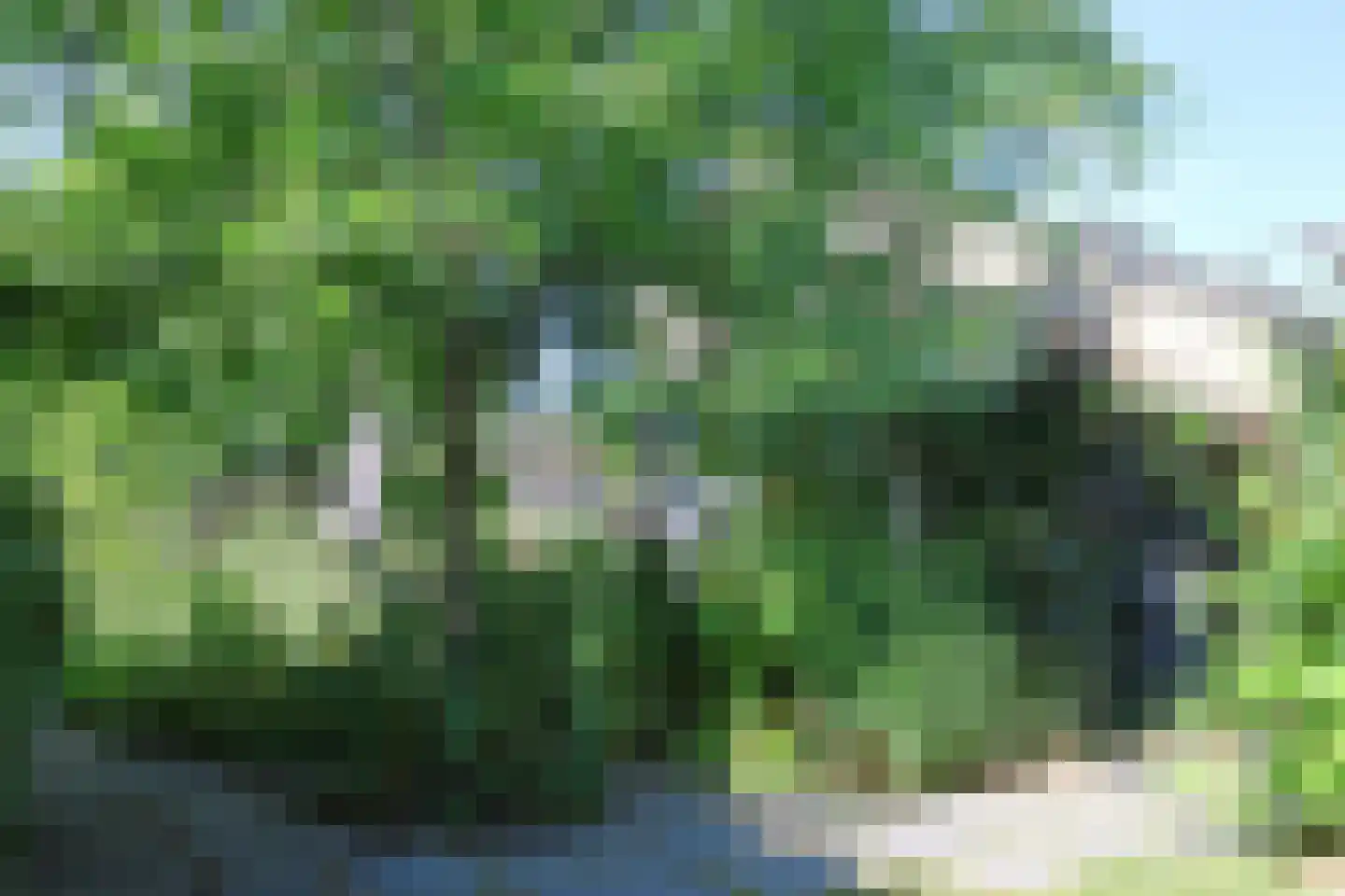 Dr.P.J.Hoedemakerstrjitte 28 Nijland thumbnail 35