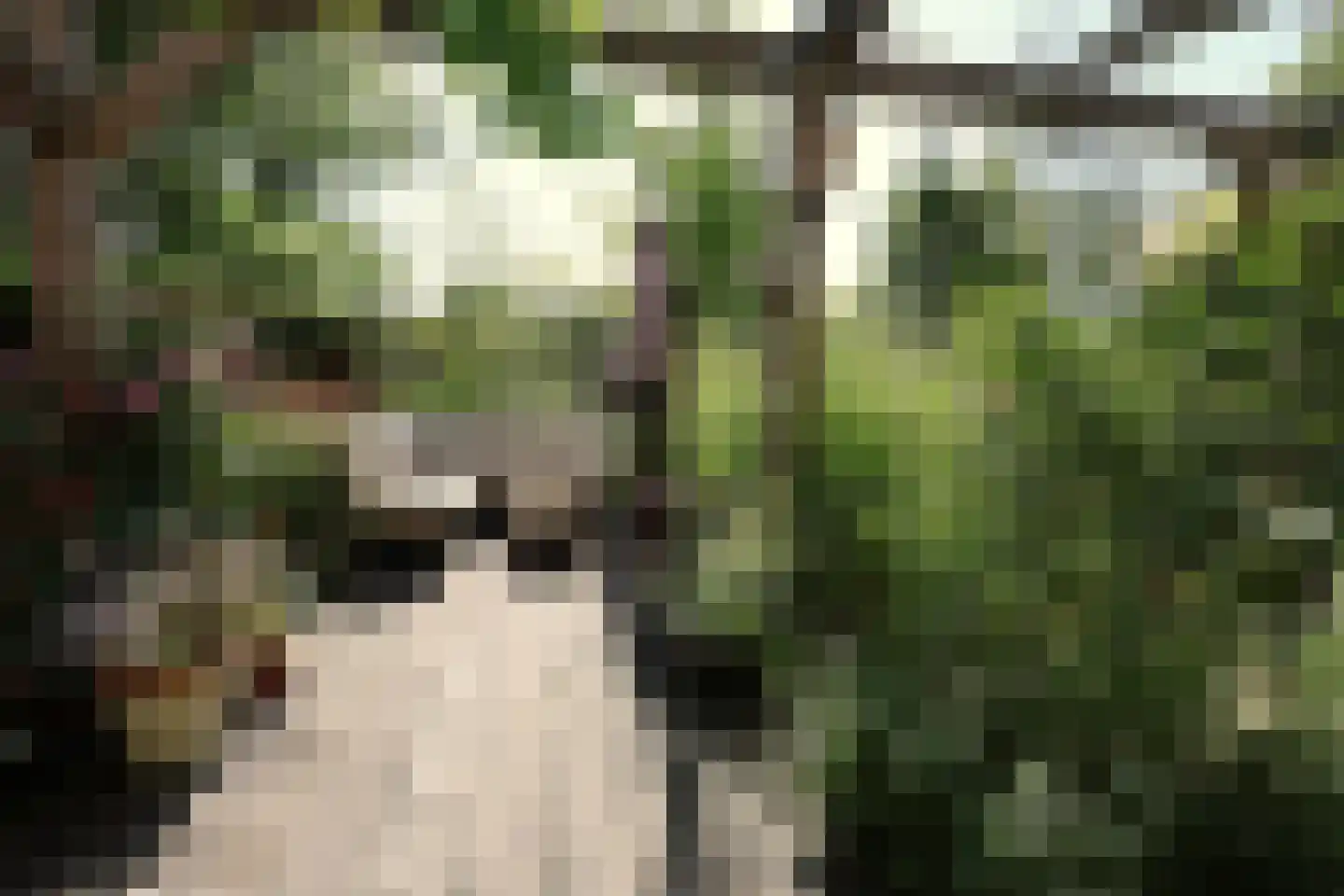 Dr.P.J.Hoedemakerstrjitte 28 Nijland thumbnail 7