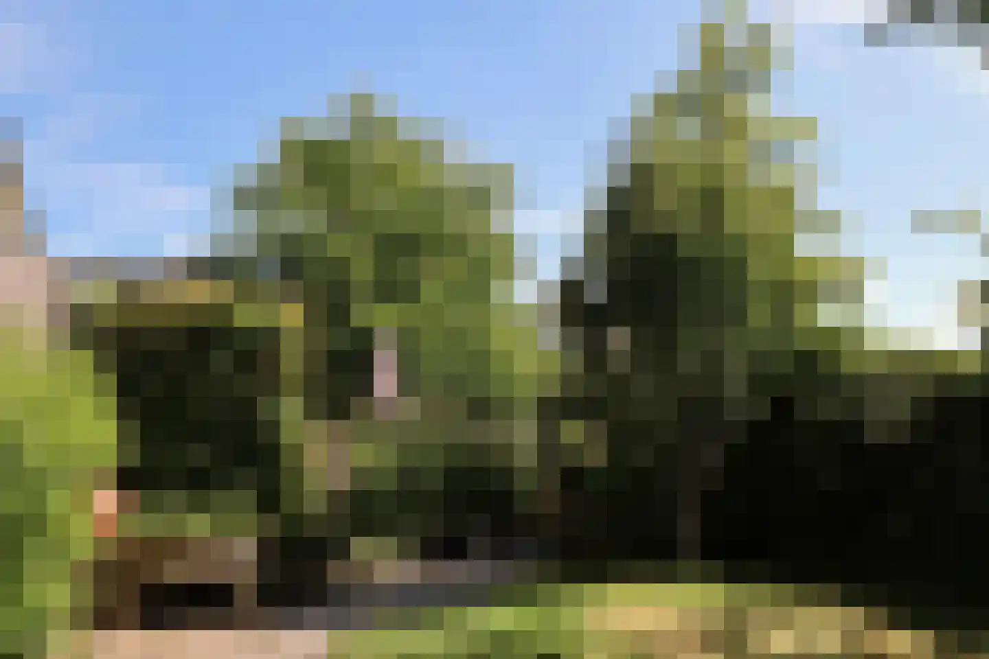 Dr.P.J.Hoedemakerstrjitte 28 Nijland thumbnail 9