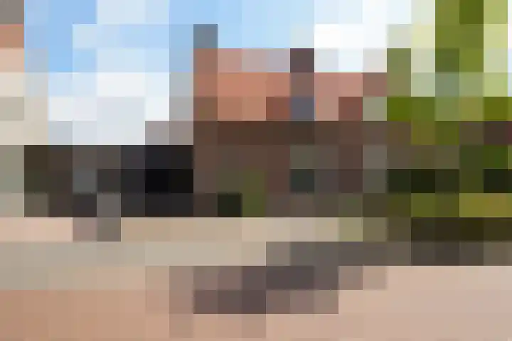 Dr.P.M.Hoekstraat 12 Boxtel thumbnail 73