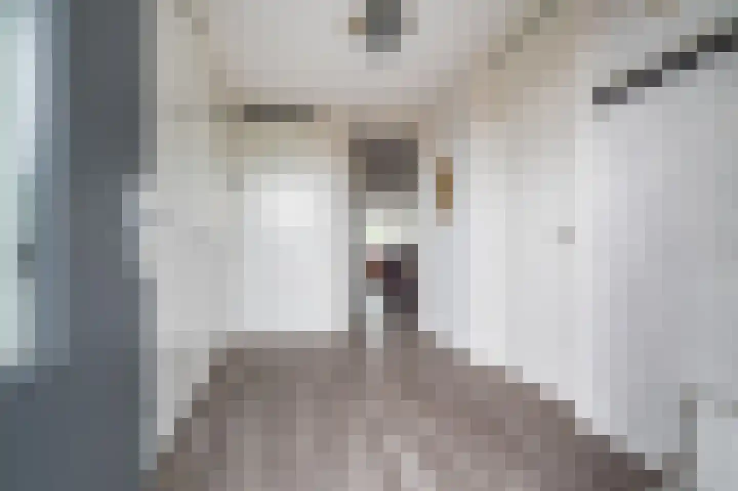 Dr. P. Rinsemastraat 19 Vlagtwedde thumbnail 12