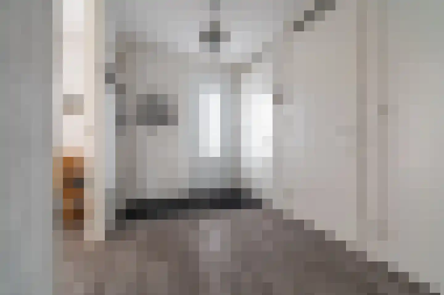 Dr. P. Rinsemastraat 19 Vlagtwedde thumbnail 13