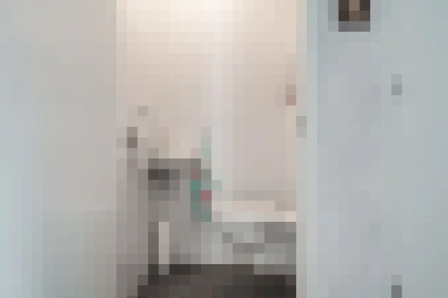 Dr. P. Rinsemastraat 19 Vlagtwedde thumbnail 14