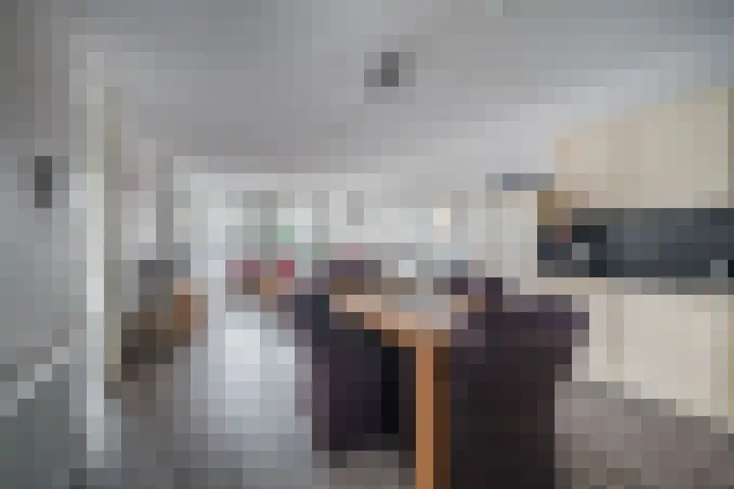 Dr. P. Rinsemastraat 19 Vlagtwedde thumbnail 19