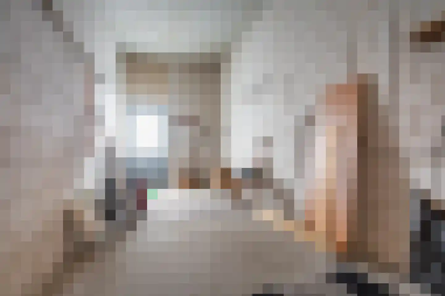 Dr. P. Rinsemastraat 19 Vlagtwedde thumbnail 31