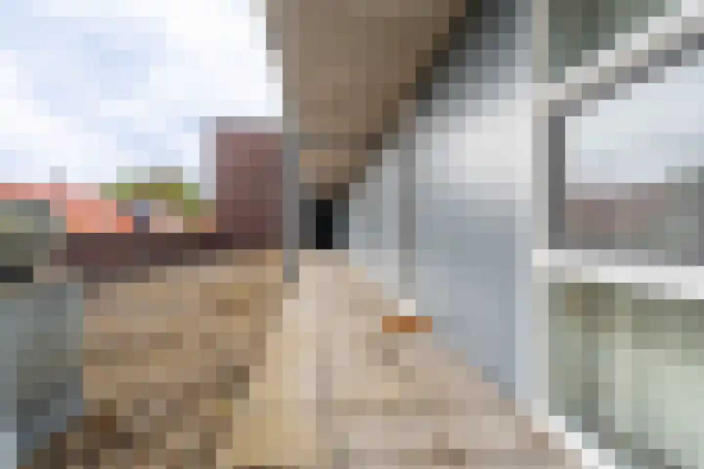 Dr. P. Rinsemastraat 19 Vlagtwedde thumbnail 9