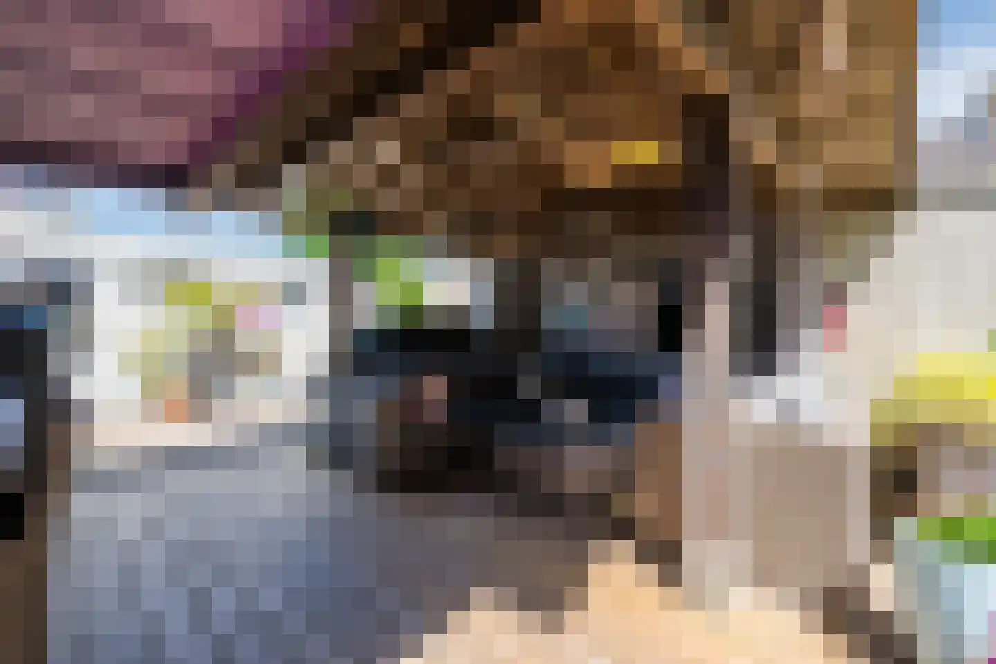 Dr. P. van Hoekstraat 9 Best thumbnail 27