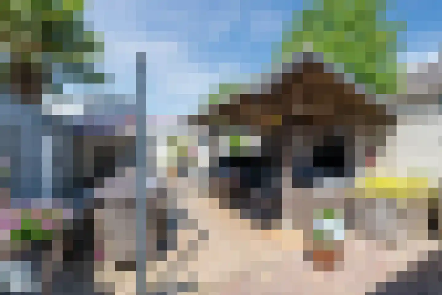 Dr. P. van Hoekstraat 9 Best thumbnail 31