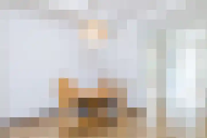 Dr. Philipsstraat 26 Hoensbroek thumbnail 4