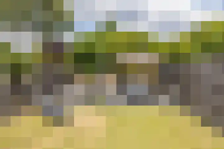 Dr. Philipsstraat 40 Hoensbroek thumbnail 31