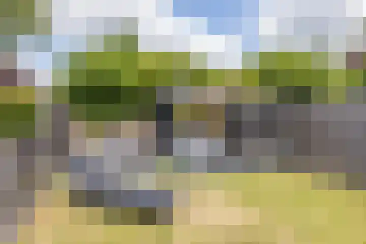 Dr. Philipsstraat 40 Hoensbroek thumbnail 32
