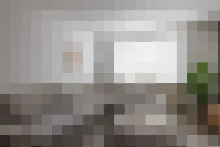 Dr. Philipsstraat 55 Hoensbroek thumbnail 8