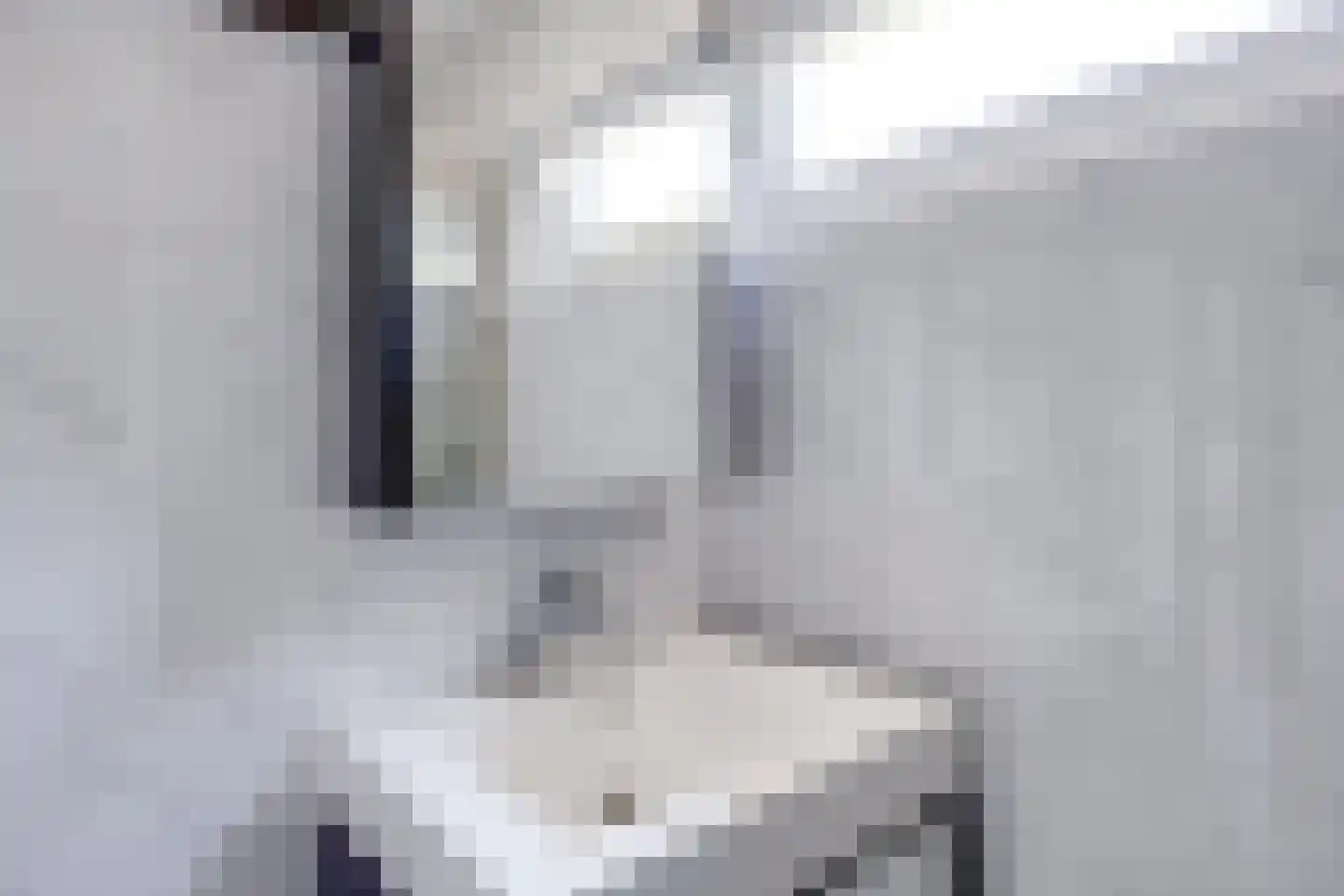 Dr. Plesmanlaan 102 Maarssen thumbnail 34
