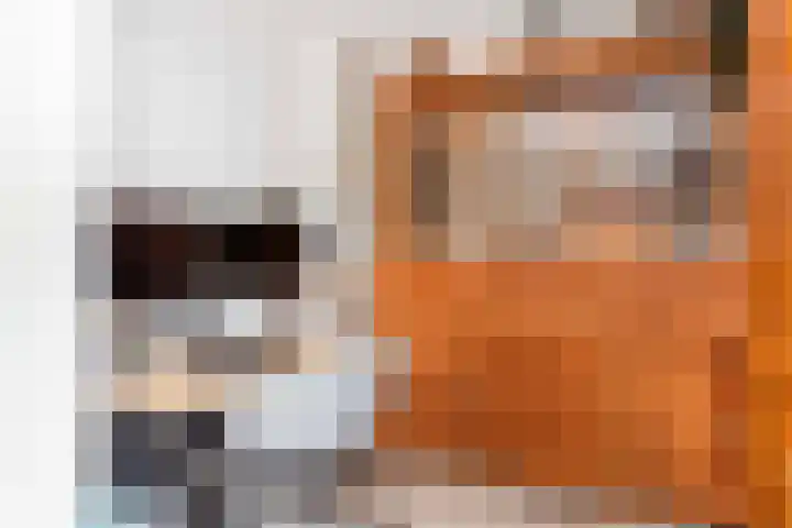 Dr. Plesmanlaan 110 Maarssen thumbnail 13