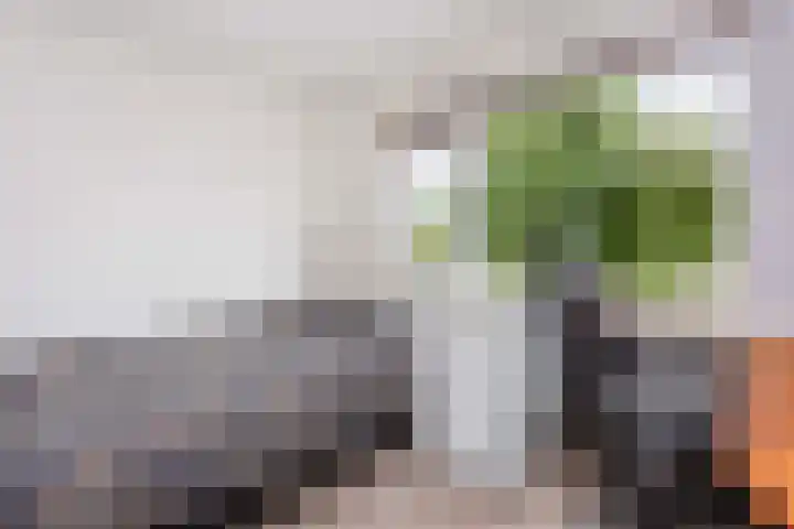 Dr. Plesmanlaan 110 Maarssen thumbnail 18