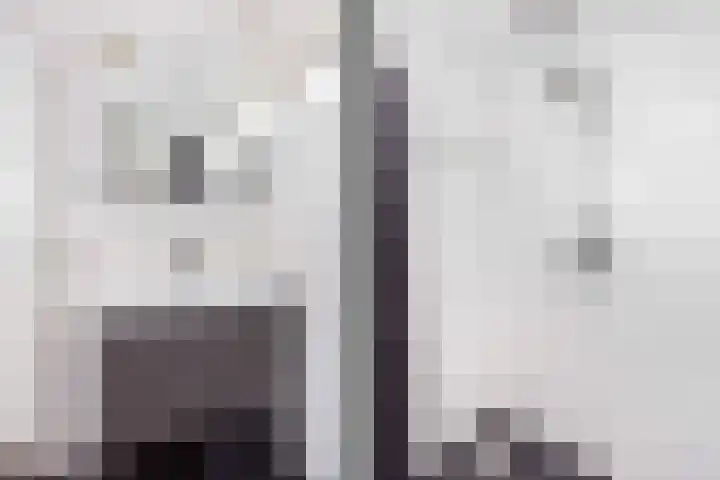 Dr. Plesmanlaan 110 Maarssen thumbnail 21