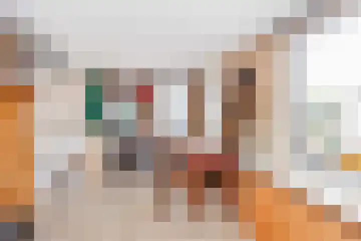 Dr. Plesmanlaan 110 Maarssen thumbnail 31