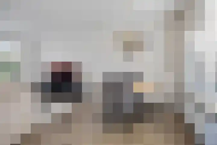 Dr. Plesmanlaan 118 Maarssen thumbnail 11