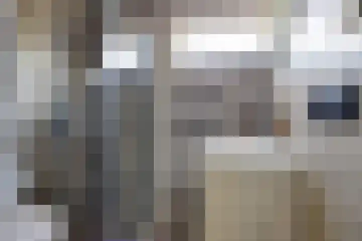 Dr. Plesmanlaan 118 Maarssen thumbnail 22