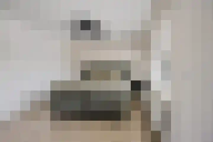 Dr. Plesmanlaan 118 Maarssen thumbnail 23