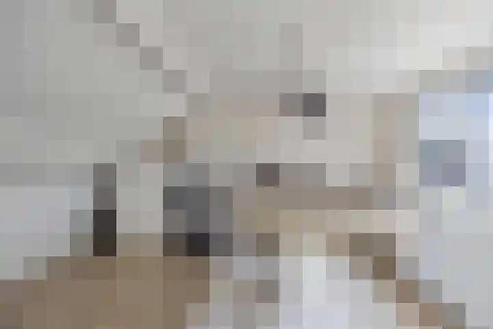 Dr. Plesmanlaan 118 Maarssen thumbnail 27