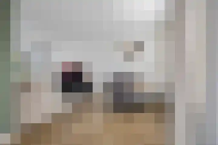 Dr. Plesmanlaan 118 Maarssen thumbnail 8
