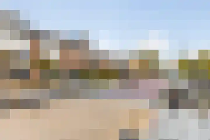Dr. Plesmanstraat 14 Zwijndrecht thumbnail 33
