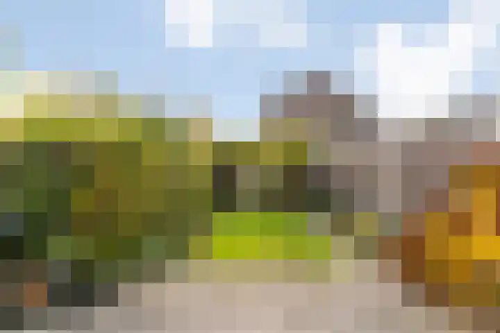 Dr. Plesmanstraat 14 Zwijndrecht thumbnail 4