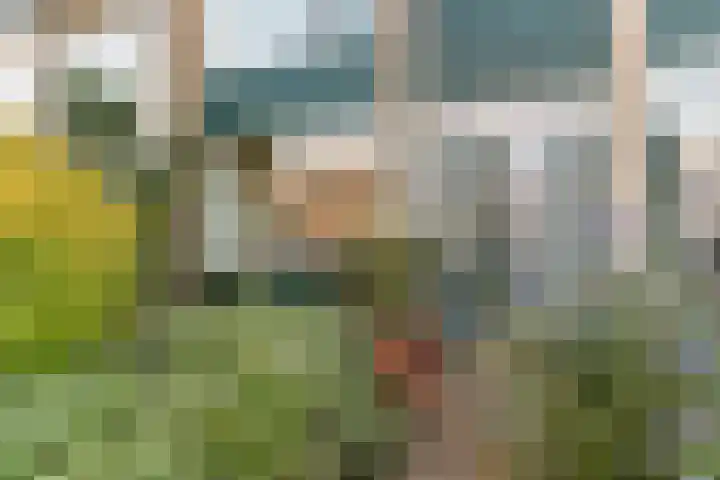 Dr. Plesmanstraat 14 Zwijndrecht thumbnail 5
