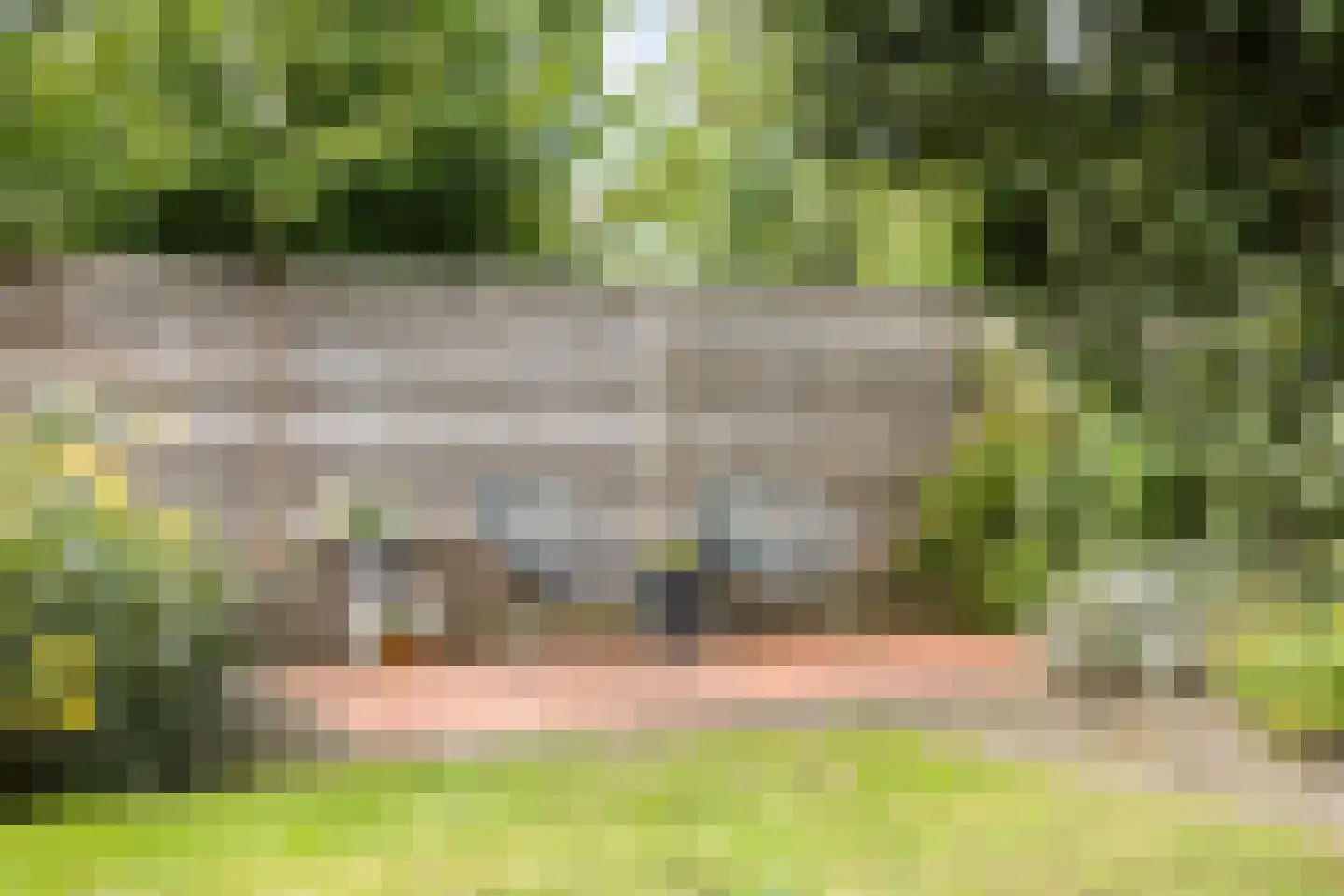 Dr. Plesmanstraat 16 Hurdegaryp thumbnail 12
