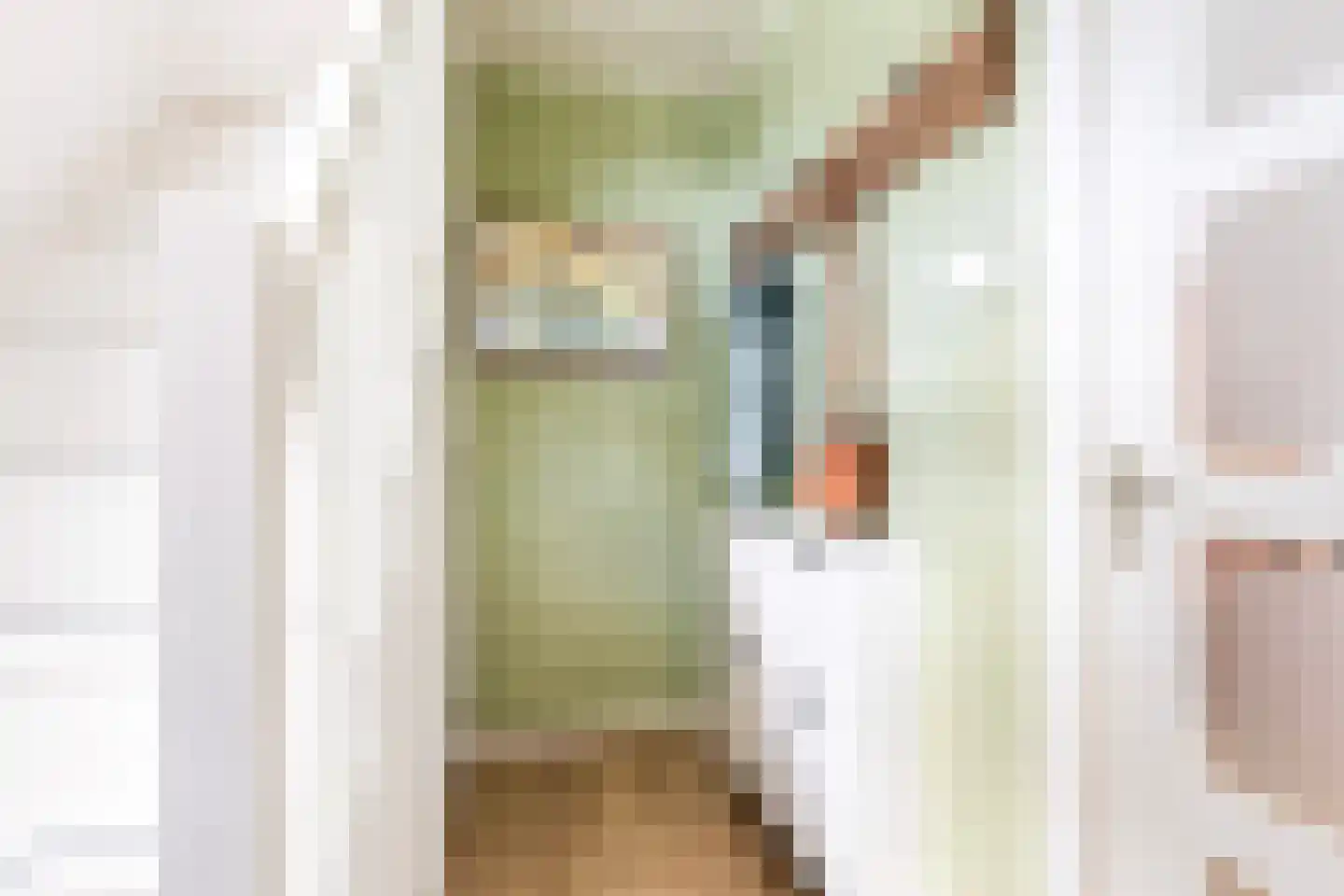 Dr. Plesmanstraat 16 Hurdegaryp thumbnail 17